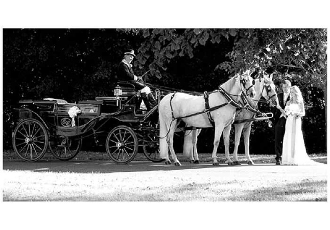 Wedding of Holly and Joss by Siobhàn Craven-Robins