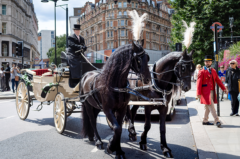 Wedding of Katherine and Adam by Siobhàn Craven-Robins