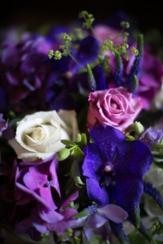 Image from Thameside Wedding