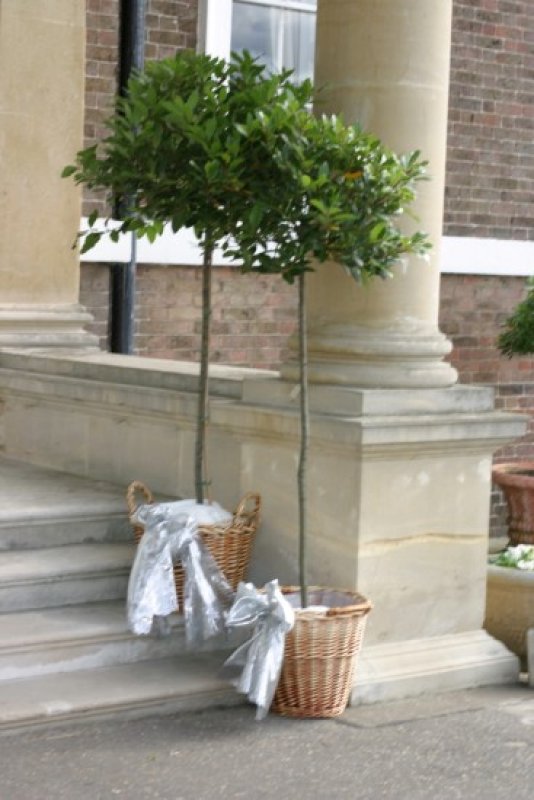 Image from Boreham Country House Wedding