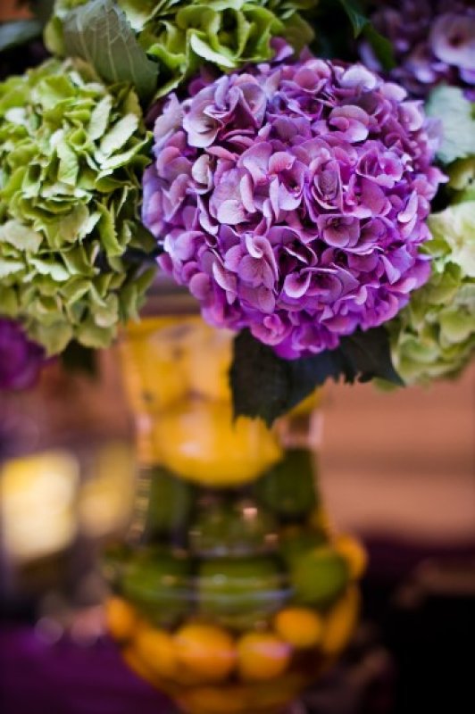 Image from Gita & David's London Wedding