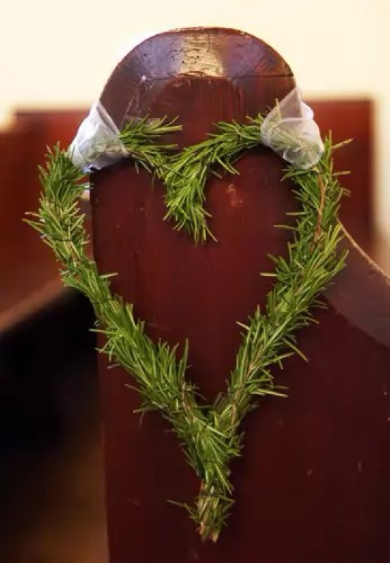 Image from Midsummer Night's Dream